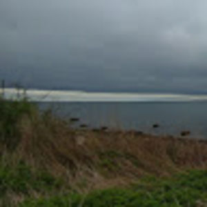 Meet your Posher, Jillian